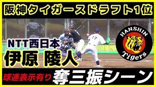 【≪2024阪神タイガースドラフト1位/奪三振シーン(球速表示有り)≫キレのあるボールが魅力！緩急自在のMAX149キロ左腕！】NTT西日本・伊原 陵人(智辯学園高→大阪商業大)