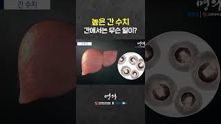 Why Liver function tests are high