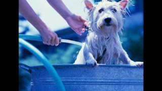 Everybody in the tub!