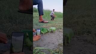 creative leaf house amazing videography idea  #crazy #videography #amazing #trending #shorts