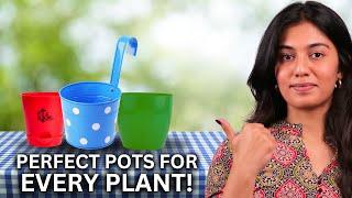 Which Pot Size is BEST for Your Plants?