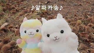 알파카송 뮤비  알파카월드 마스코트 "파카"출연 뮤직비디오 / ALPACA song Music video