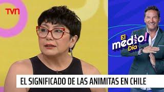 Vanessa Daroch nos explica el significado espiritual de las animitas en Chile | El medio día