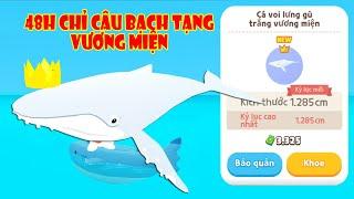 (Play Together) Na Hành Trình Tất Cả Loài Cá Bạch Tạng Vương Miện