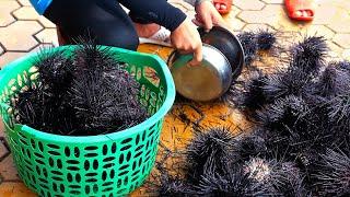 Vietnamese Street Food - BLACK SEA URCHIN and QUAIL EGGS BBQ Seafood Vietnam