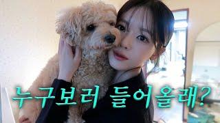 VLOG | 직장인 맞습니다..‍ 투잡 뛰는.. | 운동 금지 당했는데 체중유지하는 법 | 용인카페 제발 여기 가세요️ |  노량진수산시장 찐횟집 추천 | 그릇도매시장