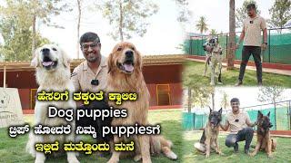 Best Puppies Dealer In Bangalore At Best Price 'The Quality Pets Bangalore' | Kannada Vlogs