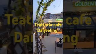 Best mountain View Cafe in Darjeeling mall road || Teattoria #shorts