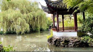 Vancouver’s Dr. Sun Yat-Sen Garden: The First Chinese Garden Outside Asia॥ ভ্যাঙ্কুভারের চীনা উদ্যান