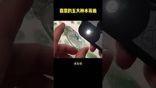 翡翠知识，五大种水翡翠等级你都知道吗 #翡翠 #jade #jadeite #缅甸翡翠 #翡翠直播 #翡翠等级 #翡翠知识