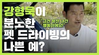 강아지와 자동차 여행, 무엇이든 물어보세요 | 강형욱의 친절한 펫 티켓 Q&A