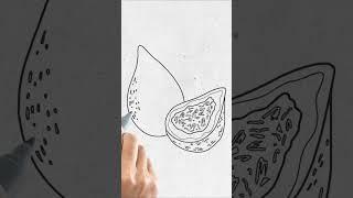 DRAWING COXINHA ( Brazilian Chicken Croquettes )