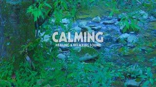 Tranquil Forest Stream | Relaxing Nature Sounds and Peaceful Greenery | Calming Water Flow Ambience