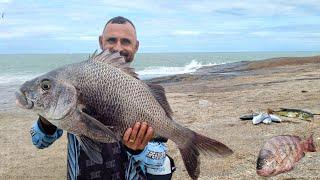 UM MONSTRO, PEIXE de 7KG na PESCARIA DE COSTÃO com ISCA NATURAL !!! FOI DE ARREPIAR.