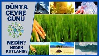 ÇEVRE GÜNÜ NEDİR? NEDEN KUTLANIR? | ÖNEMİ NEDİR? | DÜNYA ÇEVRE GÜNÜ | OKUL ÖNCESİ EĞİTİM