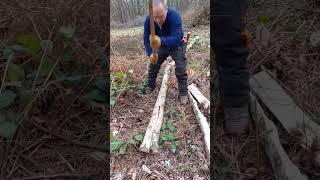 Splitting Firewood in Long Lengths