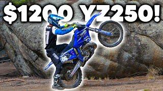 First Ride on the $1200 YZ250 I Brought Back to Life!