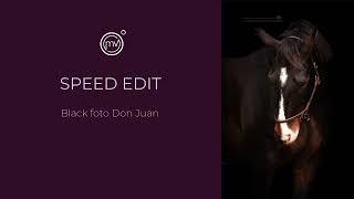 Speed edit Don Juan | Madelon Verwijmeren Fotografie