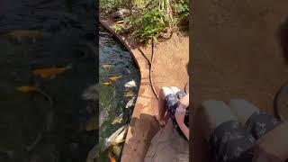 Leo feeding carp 2