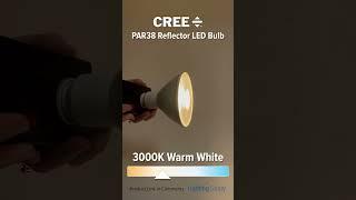 CREE PAR38 Weatherproof LED Flood (PAR38-250W-P1...) #youtubeshorts #ledlights @CreeLightingVideos