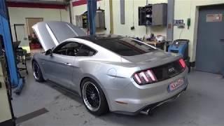 Waffenscheinpflicht!! Einstellfahrt Mustang 5.0 Coyote Autogas Prins