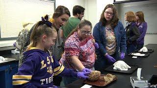 LSU Health Shreveport Medical School Family Day