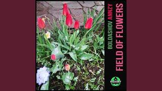 Field of Flowers (Original Mix)