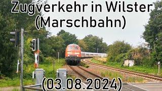 Zugverkehr in Wilster | 218er, 245er, u. 2 Sonderzüge [DAMPFLOK 012 104-6]