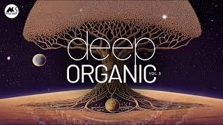 Deep & Organic - Deep Chill Organic Mix [M-Sol DEEP]