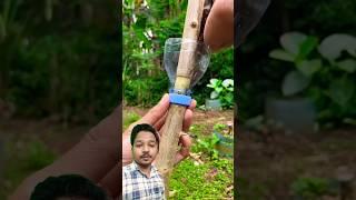 Clone of Plant , New roots making #bonsai #diy #prajapati #nature #farming #grafting #growth