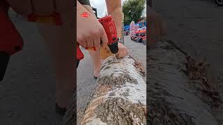 Тест 6 шуруповертов часть 2. #тест #агросервис #WORTEX #makita #bosch #fengbao