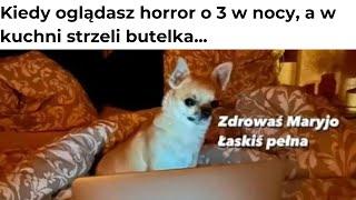 Dzienna Dawka MEMÓW  |12| Polskie memy 2023 | Memy po Polsku |