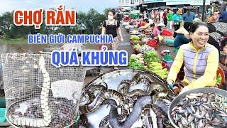 QUÁ KHỦNG CHỢ RẮN, CHIM, CHUỘT, CÁ ĐỒNG LỚN NHẤT VÙNG BIÊN GIỚI CAMPUCHIA - CHỢ BÀU SẬY | OKDD