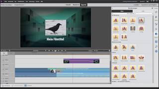 Premiere Elements Erweiterte Funktionen: Korrekturen, zeitabhängige Effekte, Überblendungen,