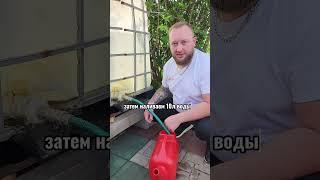 Инструкция по применению биостимулятора Росток