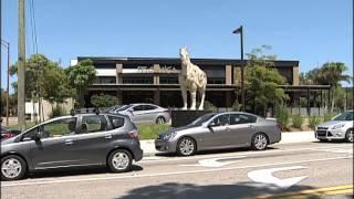 SNN: P.F. Chang's opens in Sarasota