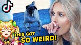 FUNNIEST Try Not To Laugh Challenge EVER!