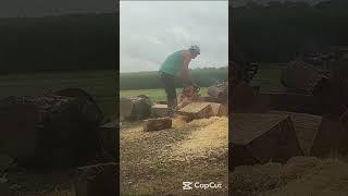 Slinging Sawdust #chainsaw #firewood #diy #stihl #echo #husqvarna #outdoors #fyp