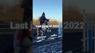 Jumping my horse into 2023 #equine #horse #horselover #equestrian #horsevlog #horses #horseriding