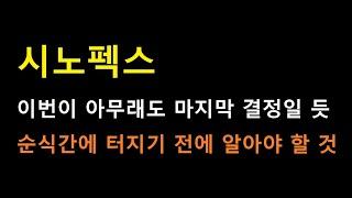 [시노펙스] 한미반도체 같은 그림으로 추가로 미친듯이 터지려면...... 이번이 마지막 핵심지역입니다