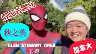 《假日去那兒》A day of autumn fun in the Glen stewart area 峽谷｜湖邊賞秋一日遊巧遇Spider＃ivy88856#加拿大多倫多＃Toronto#