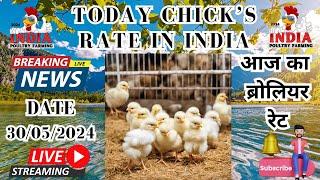 30/05/2024 भारत में आज चूजे का रेट | Chick's Rate In India Today #broiler #poultry #chicks #india