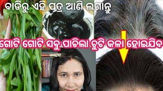 chuti kala heba,,chuti pachile kan kariba,white hair  black hair odia,ଚୁଟି ପାଚିଲେ,gray hair odia