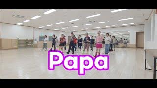 Papa/ Beginner #임애란linedance #장유도서관 #장유 #김해시 #라인댄스 #동호회 #demo #beforesunrise #장유3동주민센터 #진례종합복지관 #진례