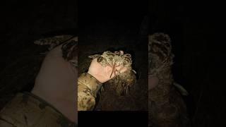 ОХОТА НА ВАЛЬДШНЕПА, ДОБЫЛИ 4 ШТ . #huntingrussia #hunting #top