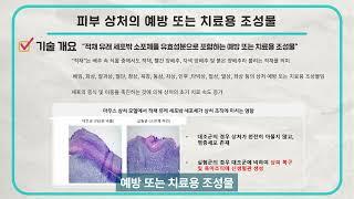 [링크온비즈-기술거래] 피부 상처의 예방 또는 치료용 조성물