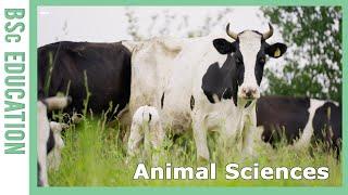 Discover Animal Sciences | WURtube