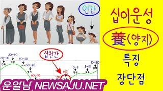 십이운성 양지(養支)가 있으면 장점과 단점 | 호기심, 다양성, 끈기부족