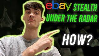 eBay Stealth: How eBay Sellers Stay Under The Radar | eBay Suspensions