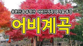 가평의 청정계곡 ’어비계곡‘ 가을 감성을 담다  Gapyeong's Clean Valley, "Eobi Valley," contains autumn emotions.